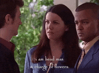 season 1 netflix GIF by Gilmore Girls 