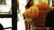 missouristate GIF by Missouri State University