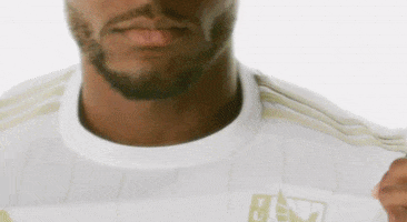 FCTulsa sports soccer usl usl championship GIF