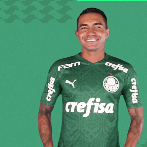 Puma Comemoracao GIF by SE Palmeiras