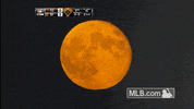 sf 137 GIF by MLB