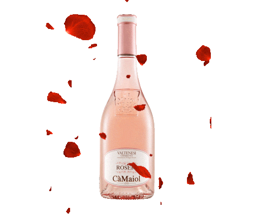 Cheers Wine Sticker by Cà Maiol