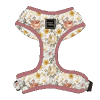 Dog Harmess Sticker by WOOF+WEEN