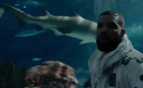 Whats Next Drake GIF by Republic Records