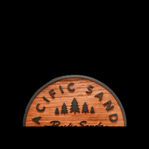 pacificsands giphygifmaker canada surf waves GIF