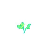 Flowers Grow Sticker