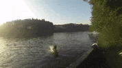 topshelf records prawn GIF