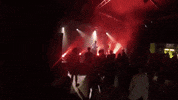 topshelf records prawn GIF