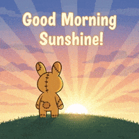 RugDollz positivevibes riseandshine sunkissed shinebright GIF