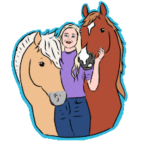 HoefWijzer horse horses paard paarden Sticker