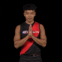 Afl Footy GIF by Essendon FC