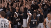 excited san antonio spurs GIF by NBA