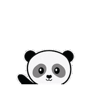 paduaacademy panda padua padua academy Sticker