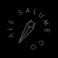 alesalume logo star shine coach GIF