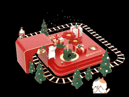 Christmas Present Cat GIF by KBSPETS