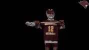 Lax GIF by CUCougars