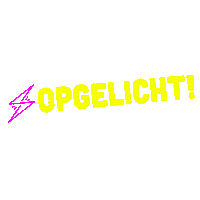 Neon Scam Sticker by Oplichterspraktijk