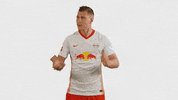 Lets Go Football GIF by RB Leipzig