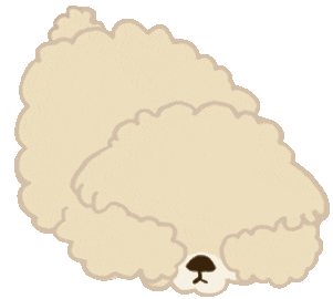 Scared Poodle Sticker