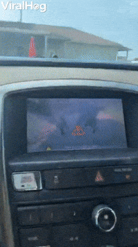 Goat Herd Keeps Car From Leaving GIF by ViralHog