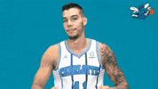 happy willy hernangomez GIF by Charlotte Hornets