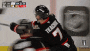 Happy Stanley Cup Playoffs GIF by NHL