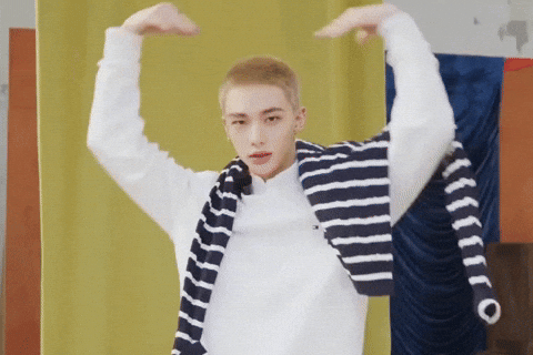 Tommy Hilfiger Stray Kids GIF