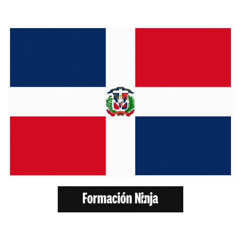 Republica Dominicana Flag Sticker by Formación Ninja
