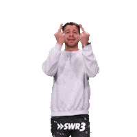 Faq Middle Finger Sticker by SWR3