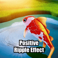 Positivity Wisdom GIF by TheConfishius