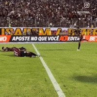 Pesca Sardinha GIF