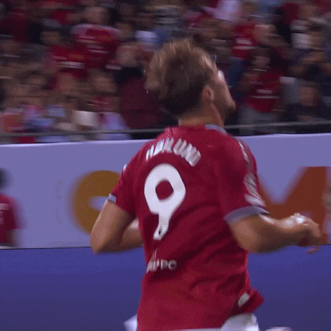 Celebration GIF by Manchester United