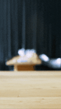 Alto Adige Vino GIF by Pur Südtirol