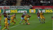 Soccer Futbol GIF by Brighton & Hove Albion Football Club