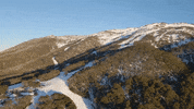 GIF by Thredbo