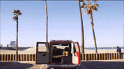 LX_GIFS surfing venice lx GIF