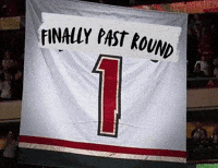 Minnesota Wild Banner GIF