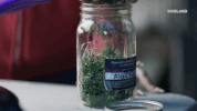 viceland GIF by WEEDIQUETTE