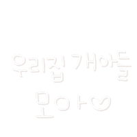 호동호동 Sticker
