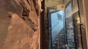 Tobidrglobi GIF by H2U