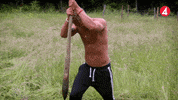 Farmen GIF by TV4