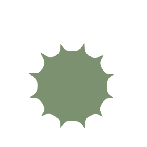 Plant Nut Sticker