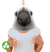 Excited Disbelief Sticker by Australian Conservation Foundation