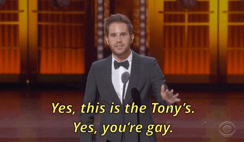 gay GIF by Tony Awards
