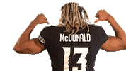 College Football Quarterback Sticker by Hawaii Athletics
