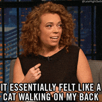 Seth Meyers Lol GIF by Late Night with Seth Meyers