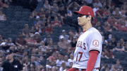 Come On What GIF by Jomboy Media