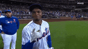 sny_tv mets peace sign lgm lfgm GIF