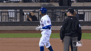Ny Mets Sport GIF by New York Mets