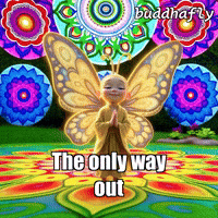 Peace Butterfly GIF by BuddhaFlyJourney